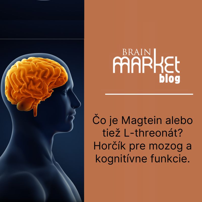 Čo je magtein alebo tiež L-treonát? Horčík pre mozog a kognitívne funkcie.